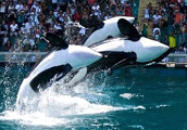 Marineland
