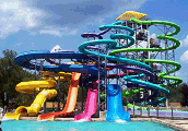 Wild Water Kingdom